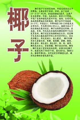 水果文化系列之芒果