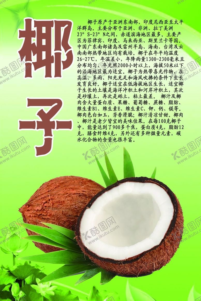 编号：85199610021410226677【酷图网】源文件下载-水果文化系列之椰子