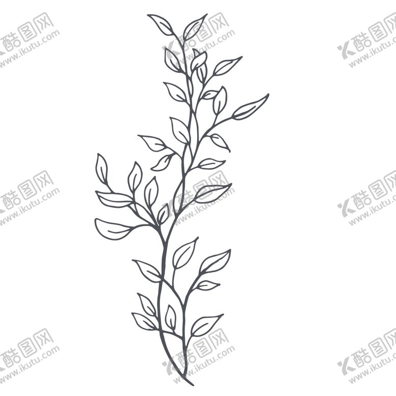 编号：53621107080554315358【酷图网】源文件下载-手绘植物