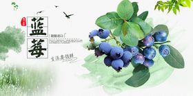 新鲜蓝莓展板