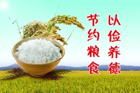 节约粮食