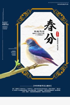复古小鸟海报
