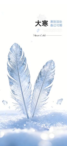 大寒小寒节气通用海报