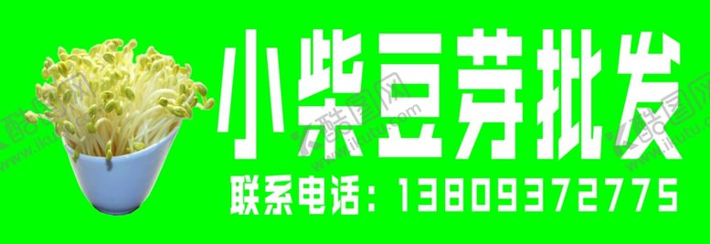 编号：33003510051828189235【酷图网】源文件下载-豆芽批发