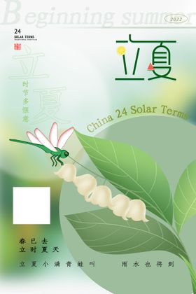 编号：82695409250256105268【酷图网】源文件下载-荷花蜻蜓立夏节气海报