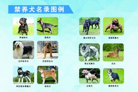 禁养犬名录