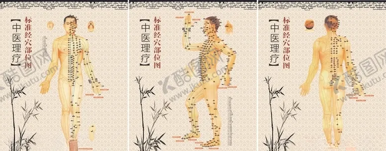 编号：56379506241915592398【酷图网】源文件下载-穴位图