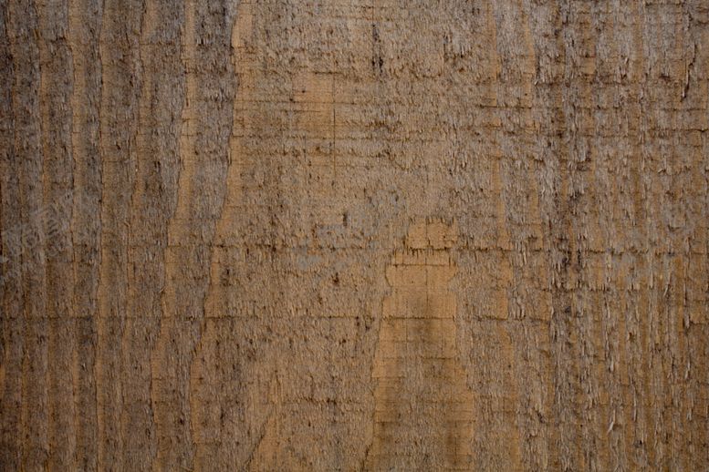 编号：18919810011620188753【酷图网】源文件下载-树皮