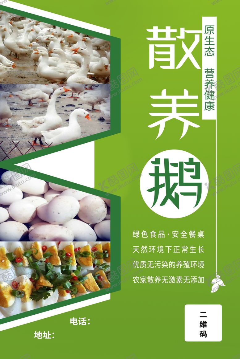 编号：72840606270701278188【酷图网】源文件下载-生态鹅
