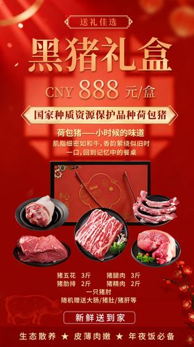 黑猪礼盒特惠促销红色海报