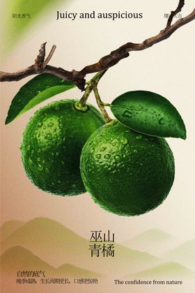 青橘水果促销宣传活动海报