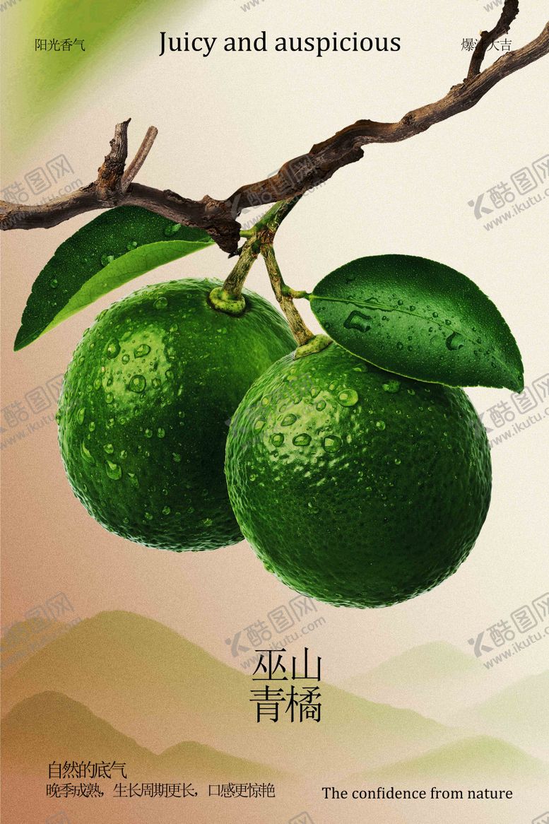 编号：45682910102108584826【酷图网】源文件下载-青橘水果促销宣传活动海报