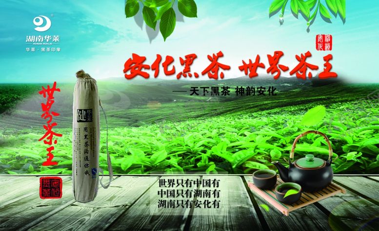 编号：82229906240726366141【酷图网】源文件下载-安化黑茶