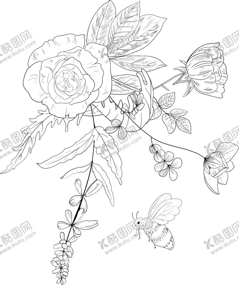 编号：83543611160536506104【酷图网】源文件下载-花卉填色图