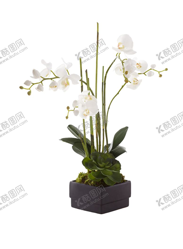 编号：70152704181011297669【酷图网】源文件下载-花瓶