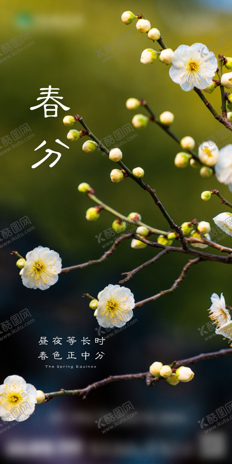 编号：68617209121618546374【酷图网】源文件下载-春分
