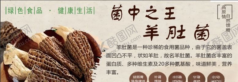 编号：18706903261128468533【酷图网】源文件下载-羊肚菌