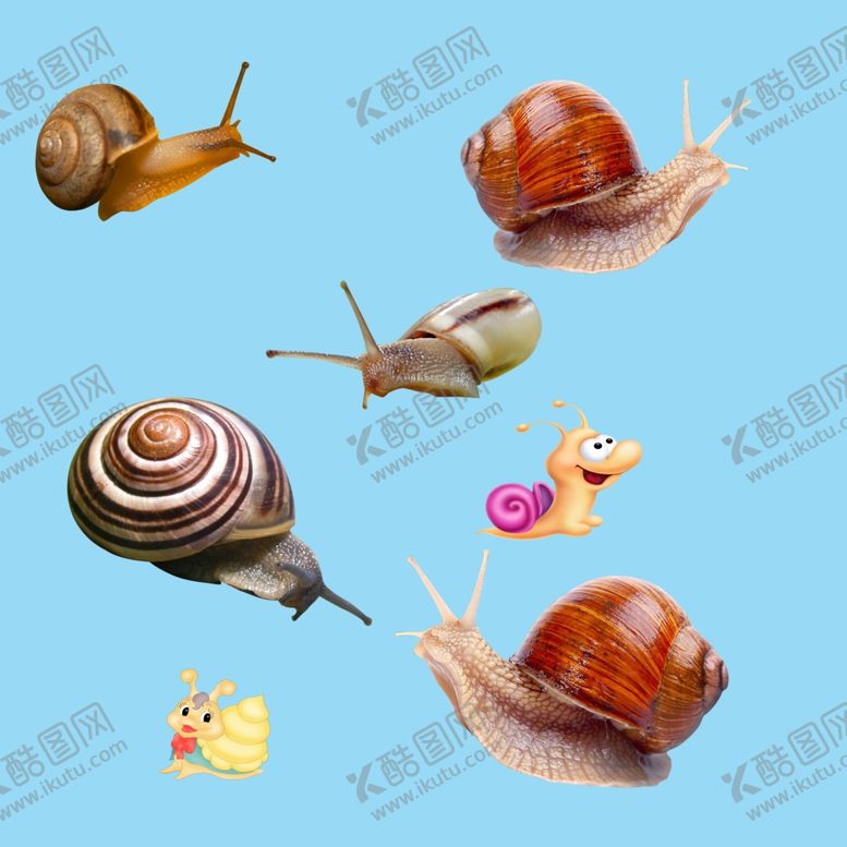 编号：38356807051355089955【酷图网】源文件下载-蜗牛