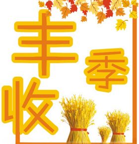 丰收季报花