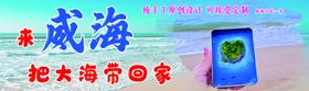 把大海带回家