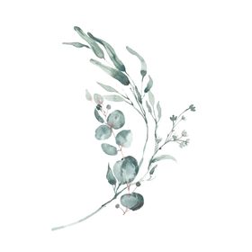 小清新水彩植物树枝