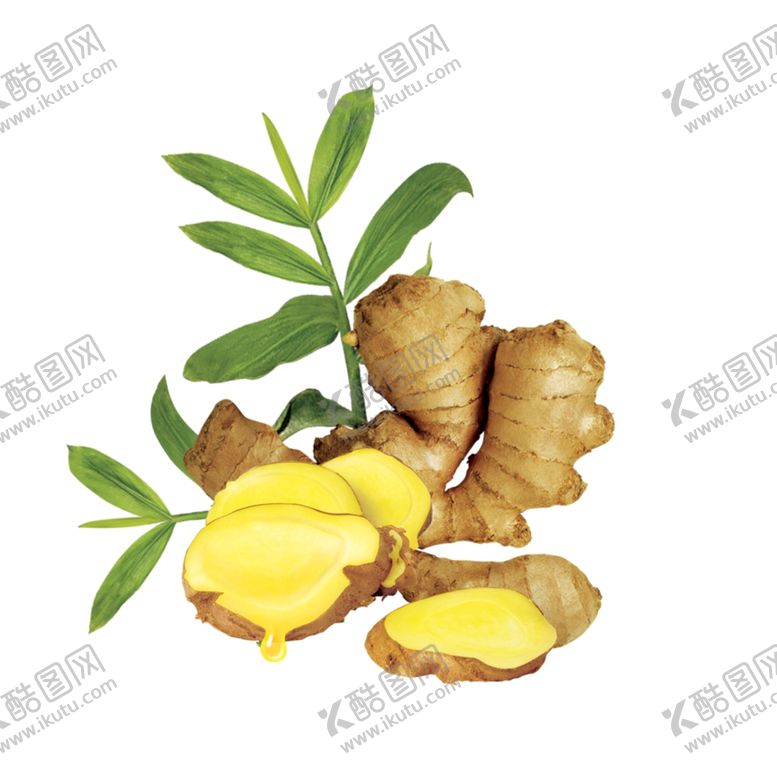 编号：80321909300146253781【酷图网】源文件下载-生姜姜