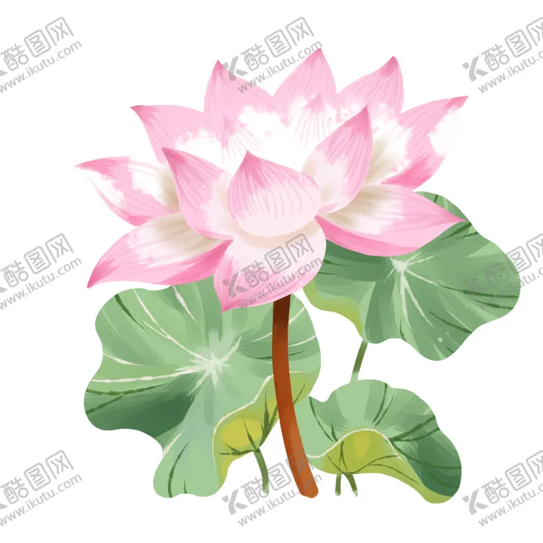 编号：46713303271807468125【酷图网】源文件下载-荷花元素