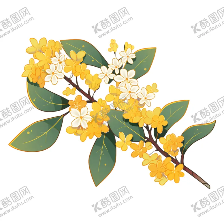编号：38146802241149279545【酷图网】源文件下载-桂花
