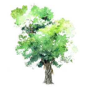 绿色背景边框壁纸花纹