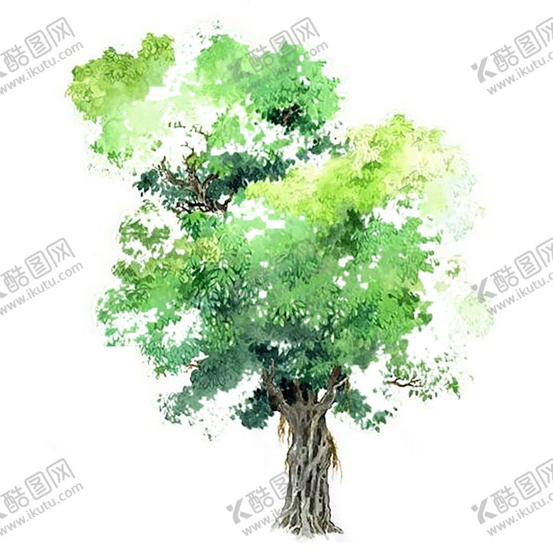 编号：59706107060656141443【酷图网】源文件下载-绿色背景