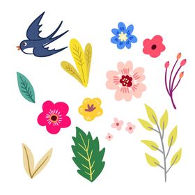 花朵春分立春手绘春天