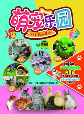 宠物乐园开业海报
