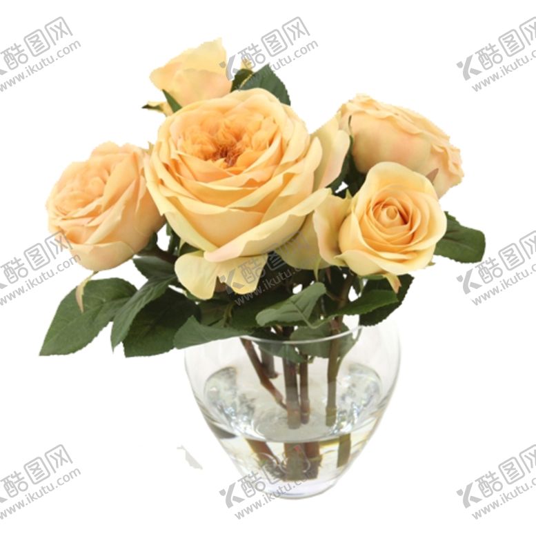 编号：11403909290559413857【酷图网】源文件下载-免抠背景花草树木