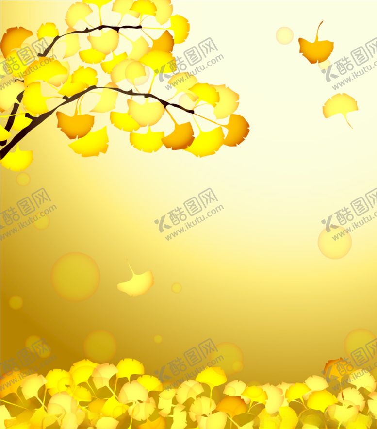 编号：41126409272048171601【酷图网】源文件下载-银杏叶