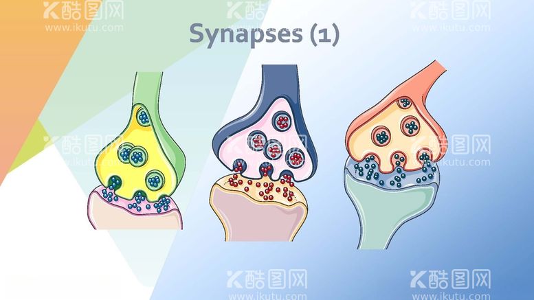 编号：12492412201831495134【酷图网】源文件下载-骨骼