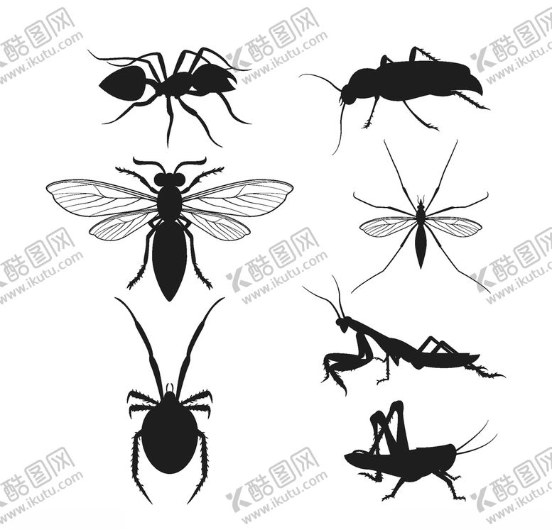 编号：43232710311741393288【酷图网】源文件下载-昆虫剪影