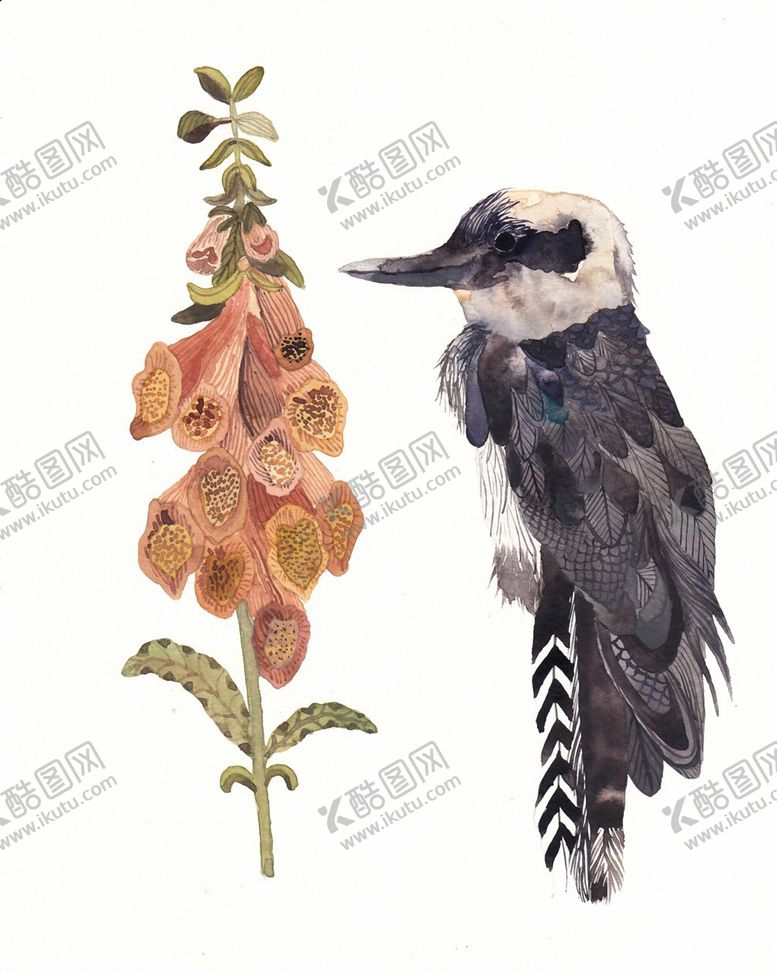 编号：44047807081448563235【酷图网】源文件下载-北欧风格淡色水彩画