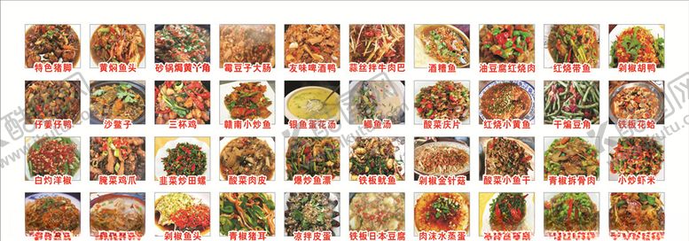 编号：64351907012333267174【酷图网】源文件下载-菜图大全