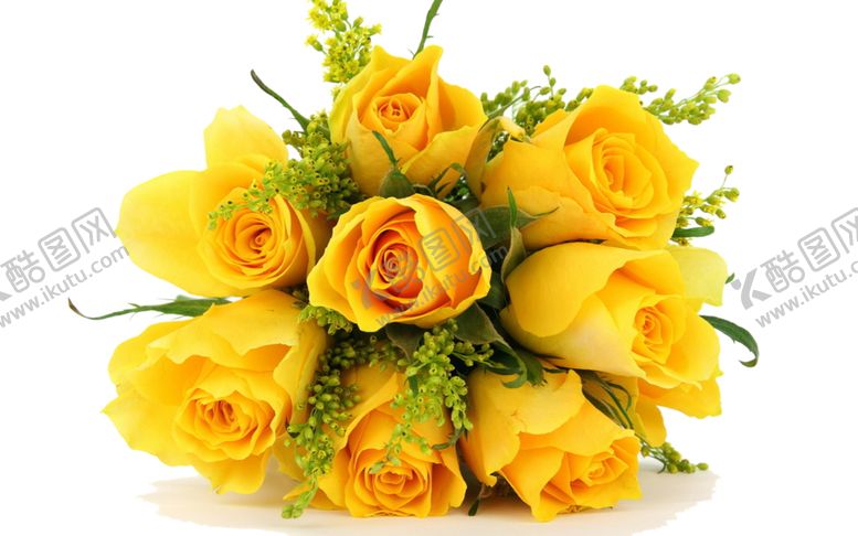 编号：33127309192049468104【酷图网】源文件下载-鲜花