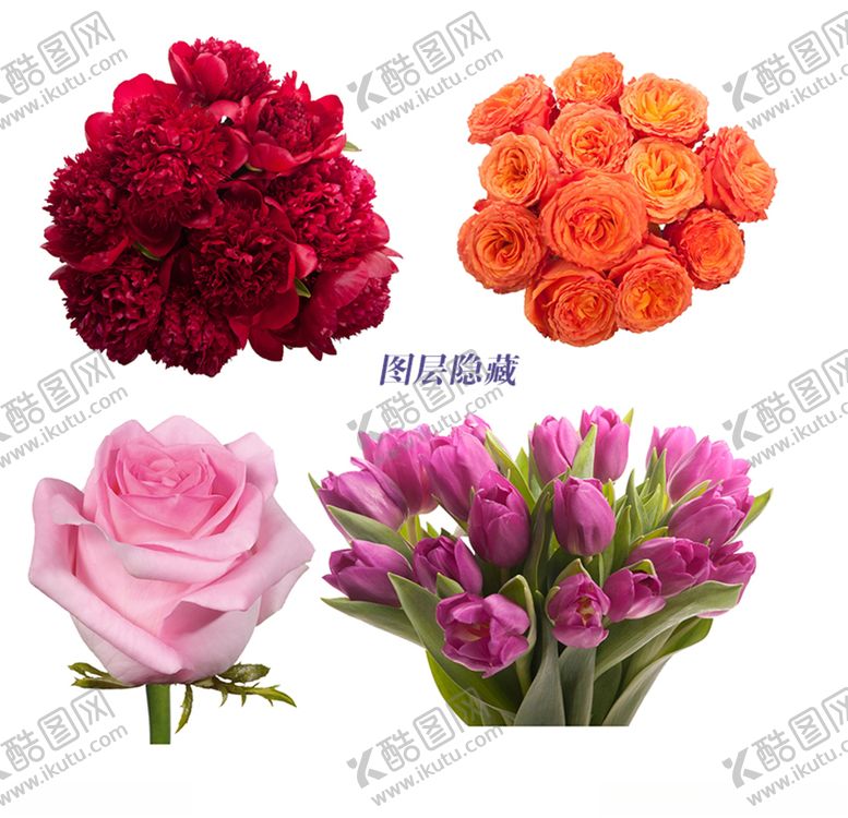 编号：32574210061322213136【酷图网】源文件下载-花束花球