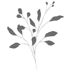 3D花纹手绘花