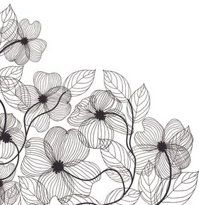花卉线条矢量