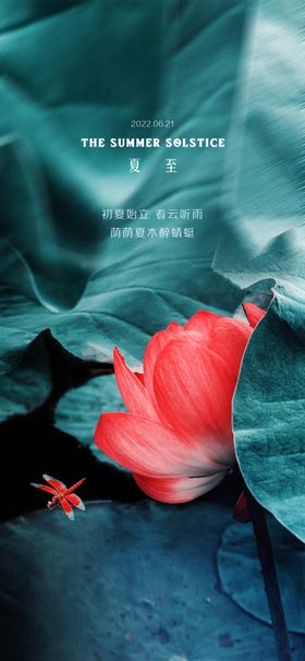 夏至素材二十四节气朋友圈手绘