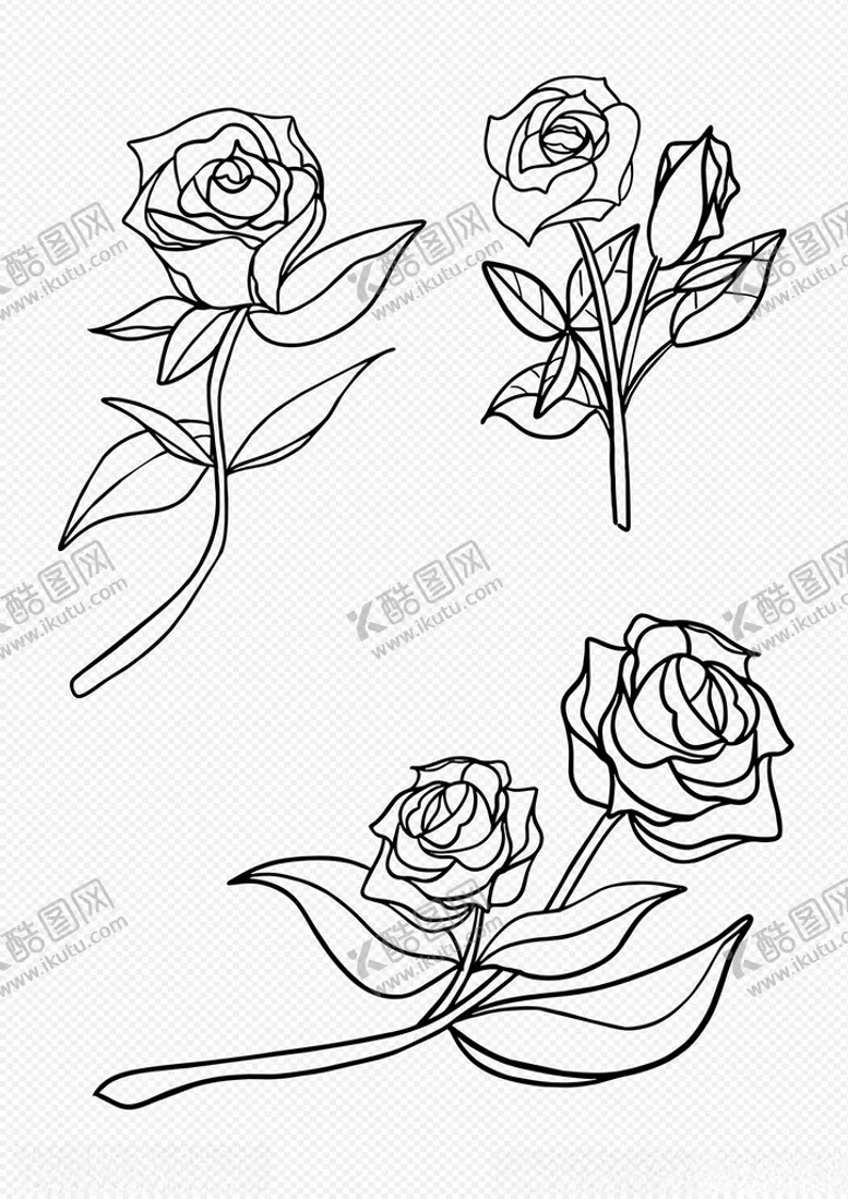 编号：14159802151123125201【酷图网】源文件下载-玫瑰花