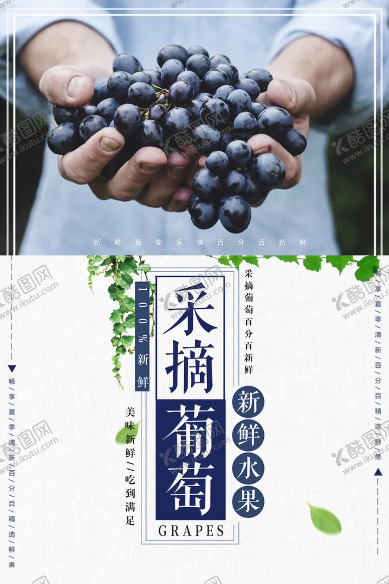 编号：65398409160552011290【酷图网】源文件下载-采摘葡萄
