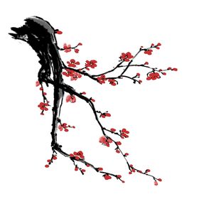 梅花素材