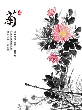 国画 菊花