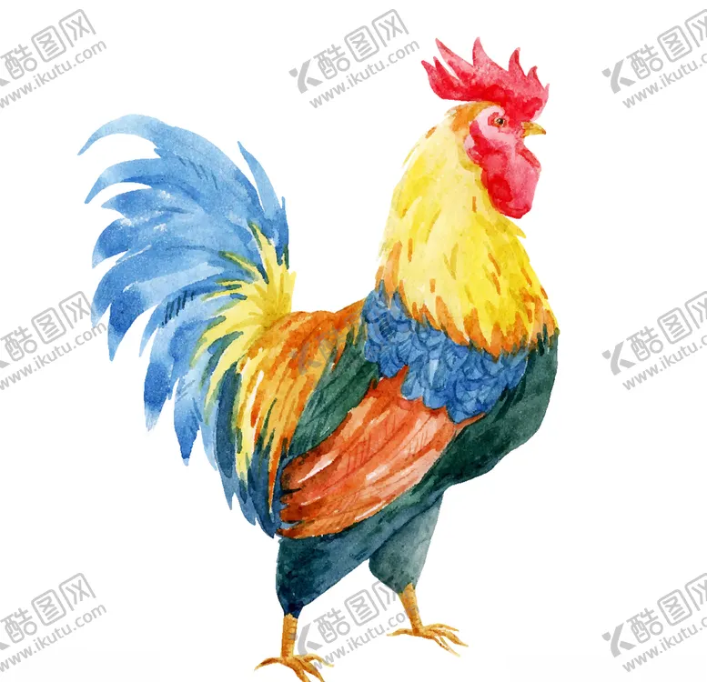 编号：13000505050154181943【酷图网】源文件下载-公鸡