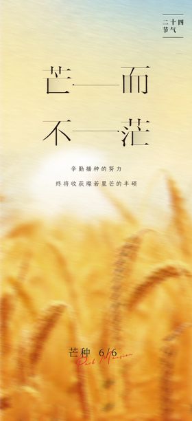 芒种海报