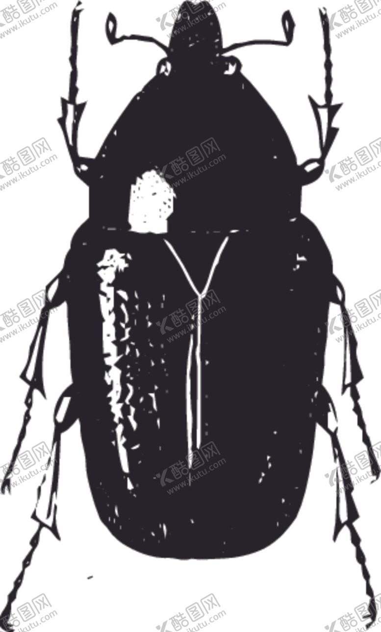 编号：78905309150518115442【酷图网】源文件下载-自然昆虫蝴蝶标本插画